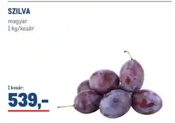 Metro Szilva ajánlat