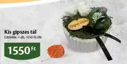 EcoFamily Kis gipszes tál ajánlat