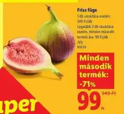 Lidl Friss füge ajánlat