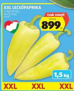 ALDI XXL Lecsópaprika ajánlat