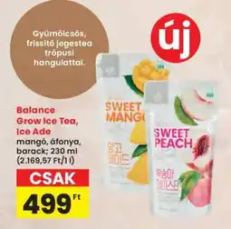 Interspar BALANCE GROW Ice Tea / Ice Ade ajánlat