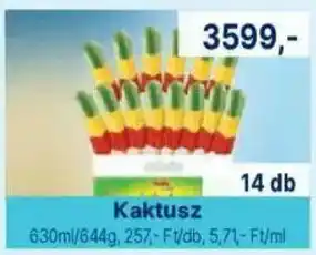 Kaktusz