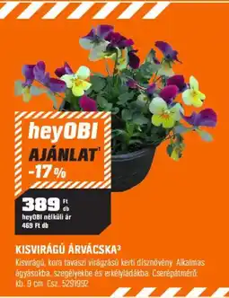 OBI heyOBI kisvirágú árvácska ajánlat