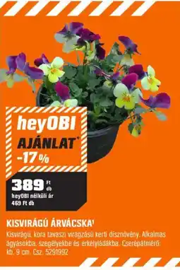 OBI hey0bi kisvirágú árvácska ajánlat