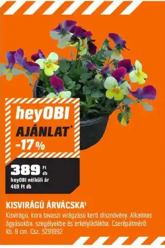 Hey0bi kisvirágú árvácska