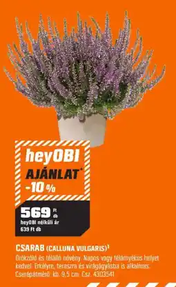 OBI heyOBI csarab ajánlat