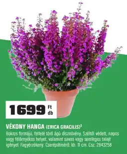 OBI Vékony hanga ajánlat
