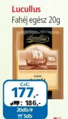ÁRKLUB Lucullus fahéj egész ajánlat