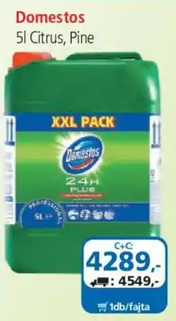 ÁRKLUB Domestos ajánlat