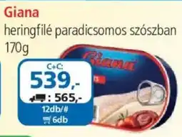 ÁRKLUB Giana heringfilé ajánlat