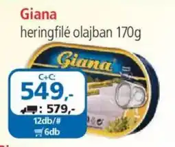ÁRKLUB Giana heringfile ajánlat