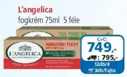 ÁRKLUB L'angelica fogkrém ajánlat