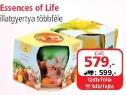 ÁRKLUB Essences of Life illatgyertya ajánlat