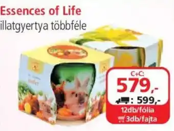 ÁRKLUB Essences of Life illatgyertya ajánlat
