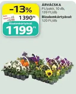 Auchan Árvácska ajánlat