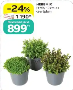 Auchan Hebemix ajánlat