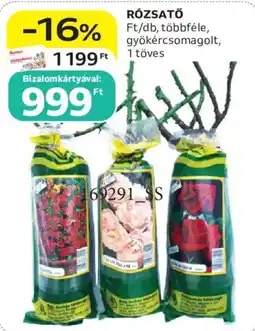 Auchan Rózsatő ajánlat