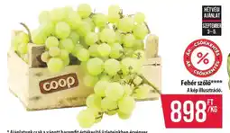 Coop Fehér szőlő ajánlat