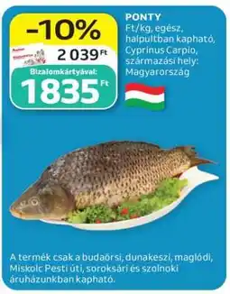 Auchan Ponty ajánlat