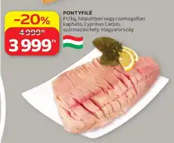 Auchan Pontyfilé ajánlat