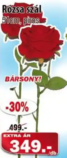 Vianni Drogéria Rózsa szál ajánlat