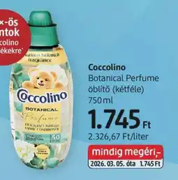 DM Coccolino ajánlat