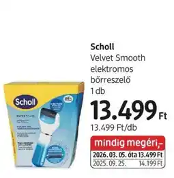 DM Scholl ajánlat