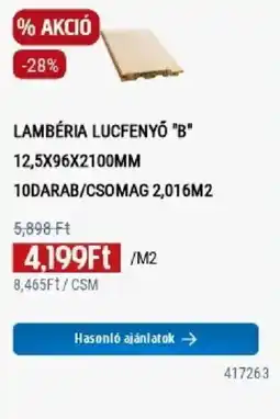 Praktiker Lambéria lucfenyő b ajánlat