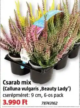 Bauhaus Cesarab mix ajánlat