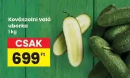 Interspar Kovászolni való uborka ajánlat