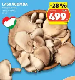 ALDI Laskagomba ajánlat