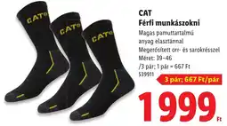 Lidl Cat férfi munkászokni ajánlat