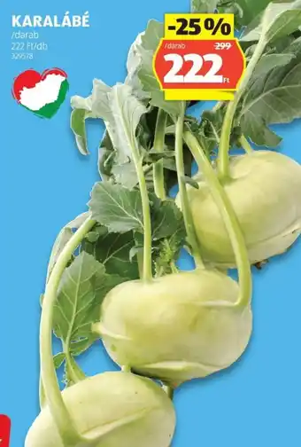 ALDI Karalábé ajánlat