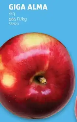ALDI Giga alma ajánlat