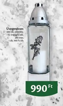 EcoFamily Üvegmécse ajánlat
