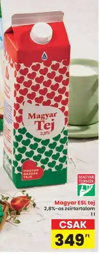 Interspar Magyar ESL tej ajánlat