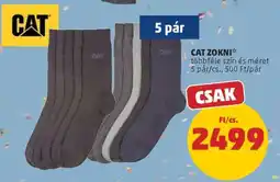 PENNY CAT ZOKNI ajánlat