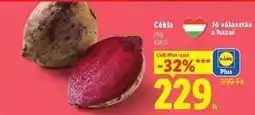Lidl Cékla ajánlat