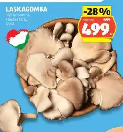 ALDI Laskagomba ajánlat
