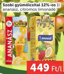 PRIVÁT Szobi gyümölcsital ajánlat