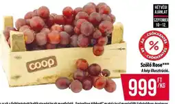 Coop Szőlő Rose ajánlat