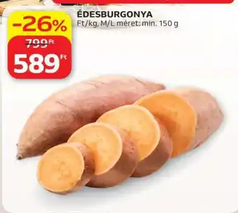 Édesburgonya
