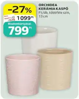 Auchan ORCHIDEA KERÁMIA KASPÓ ajánlat