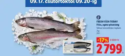 Lidl Fresh Fish Today ajánlat