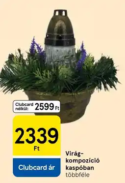 Tesco Virág-kompozíció kaspóban ajánlat