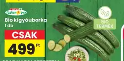 Interspar Bio kígyóuborka ajánlat