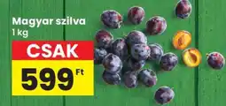 Interspar Magyar szilva ajánlat
