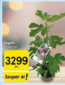 Tesco Fügefa ajánlat