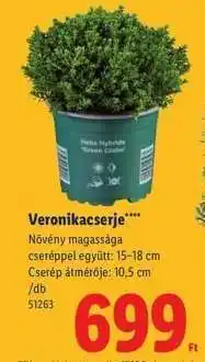 Lidl Veronikacserje ajánlat