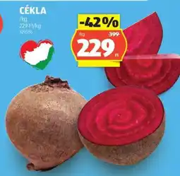 ALDI Cékla ajánlat
